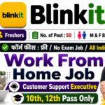 Blinkit Work From Home Job