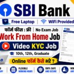 SBI Work From Home Job