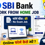 SBI Work From Home Job