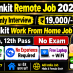 Blinkit Work From Home Job