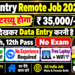 Data Entry Work From Home Job