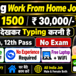 Data Entry Work From Home Job